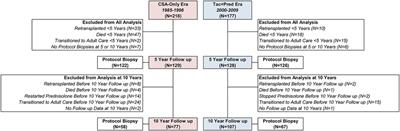 The role of immunosuppression in long-term graft hepatitis and fibrosis after paediatric liver transplant – comparison of two treatment protocols